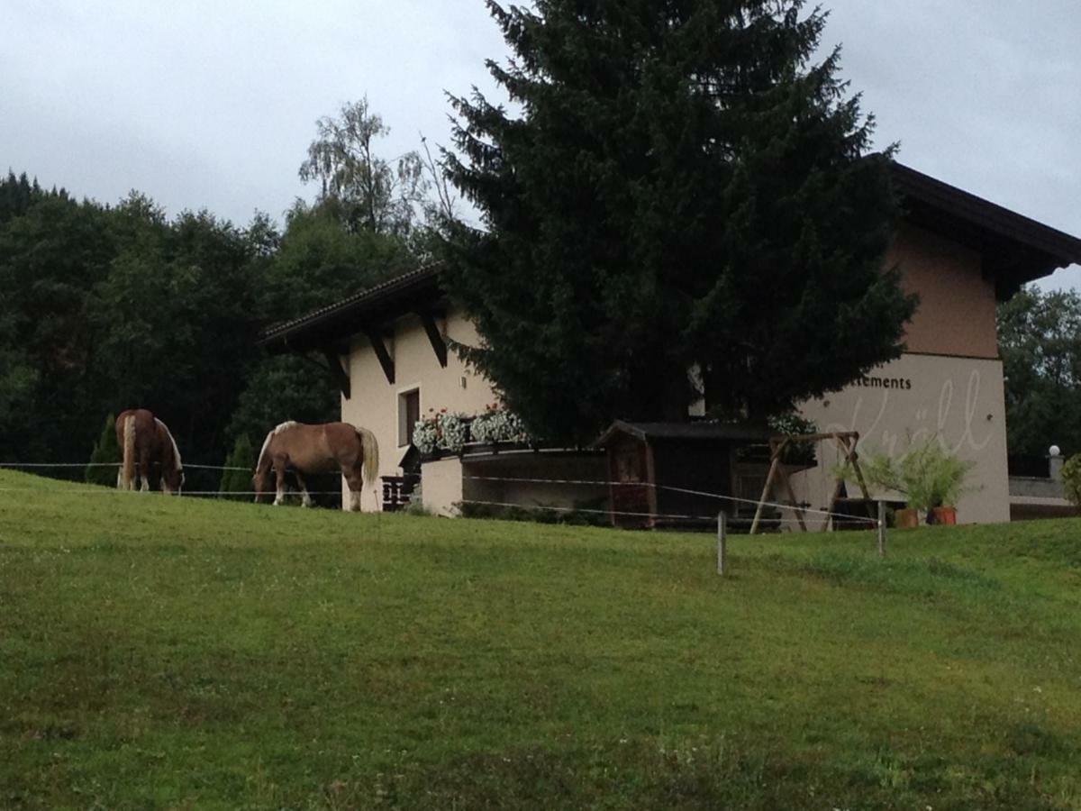 Appartements Kroell, Joker Card In Summer Included! Saalbach-Hinterglemm Ngoại thất bức ảnh